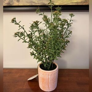 16" Faux Sedum Plant in ceramic/clay pot